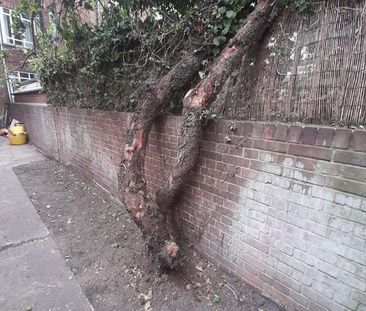 Studio Flat, Brand New Double Studio, SW6 - Photo 2