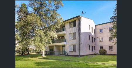 Peaceful Garden-View Apartment in Quiet Cul-de-Sac - Photo 5