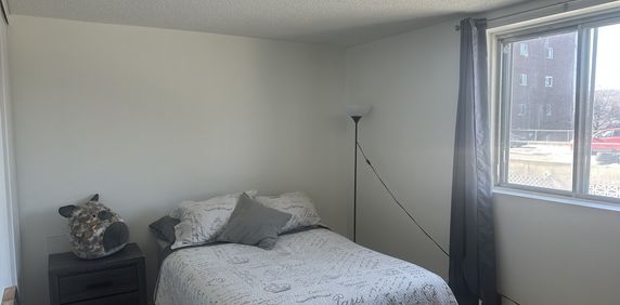 Chambre à Louer Hull - Photo 2