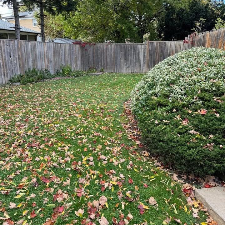 For Lease - 20 Roseglor Crescent Unit# Main-Upper level, Toronto, Ontario - Photo 1