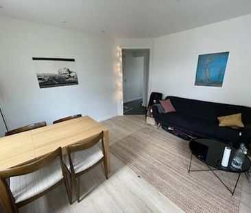 2 vær. lejlighed til leje i Kolding. 49m2 - Photo 1