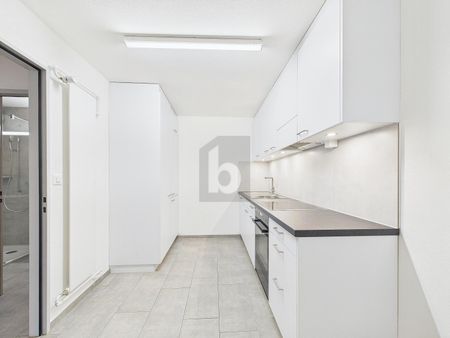 COMPLETELY RENOVATED WITH SUNNY BALCONY - Photo 2