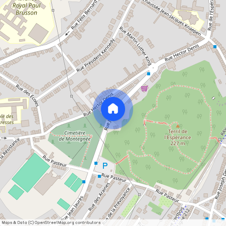 Rue Pasteur 1, 4420 Montegnée