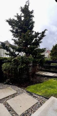 2 BEDROOM, 2.5 BATHROOM + DEN TOWNHOUSE AVAILABLE APRIL 1ST - Photo 1