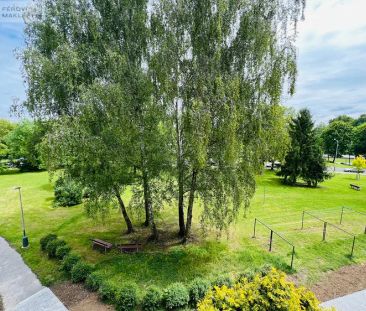 Pronájem pěkného bytu 2+1 v Ostravě Porubě - Photo 2