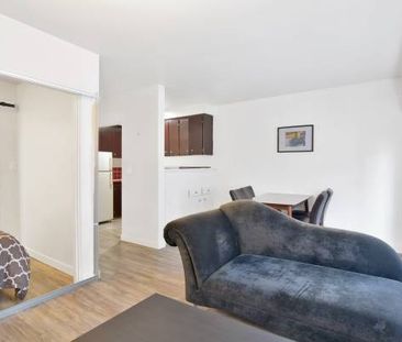 Available NOW - Pet Welcome Furnished Studio on 1540 Haro - Photo 4