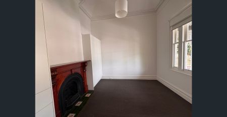 FRESHLY PAINTED VICTORIAN WITH TWO LIVING AREAS - Photo 4