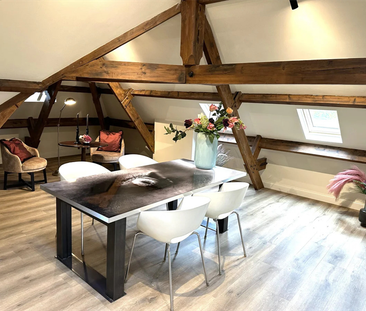 Appartement meublé Utrechtseweg, Arnhem - À louer - Photo 3