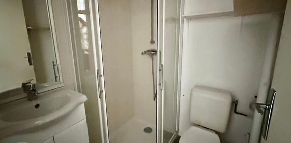 Location Appartement 1 pièce 23m² GRENOBLE 38000 - Photo 2