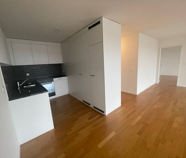 MODERNE WOHNUNG AN FAMILIENFREUNDLICHER LAGE IN HUNZENSCHWIL - Photo 3