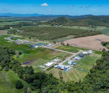 Stunning Brand New 4 Bedroom Family Home + Inground Pool - Photo 1