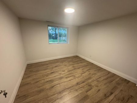 For Lease - 132 Don Mor Drive Unit# Lower Level, Newmarket, Ontario - Photo 5