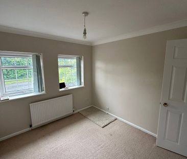 Redwood Drive - Photo 5