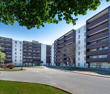 Martella Place - Photo 6