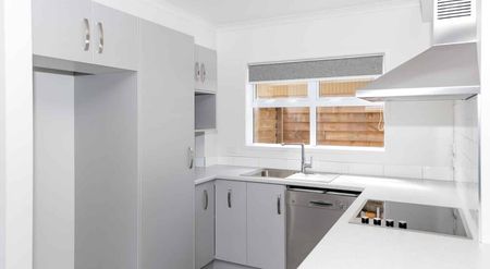 3/157 Ulster Street - Photo 4