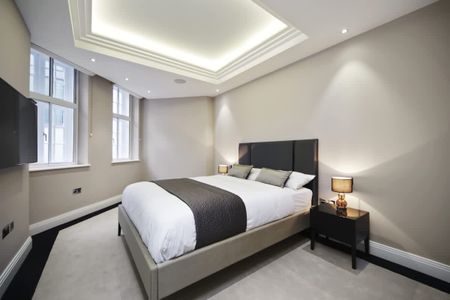 Eccleston Street, Westminster, SW1W - Photo 2