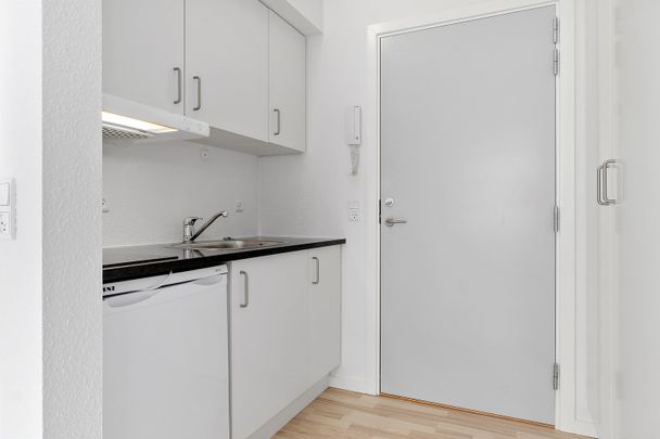 Skøn og lys lejlighed Viborgs hjerte - Photo 1