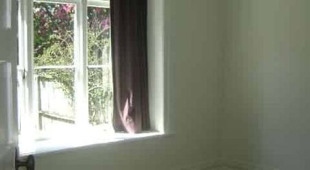 Central Remuera 4-5 Bedroom character Villa - Photo 3