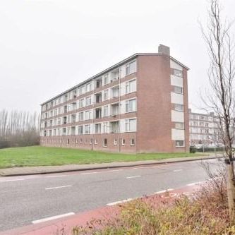 Karel Doormanlaan, 2712 Zoetermeer, Nederland - Photo 2