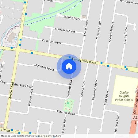 40A STEVENAGE ROAD, NSW 2166, Canley Heights