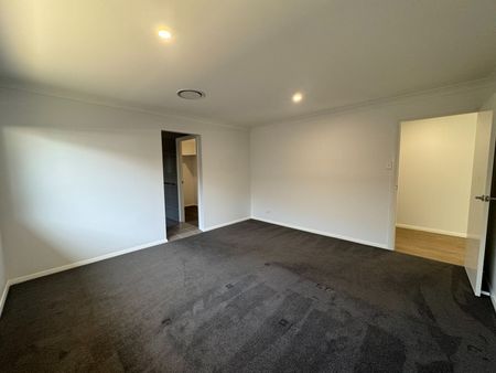 Just in time for Christmas! - Photo 4