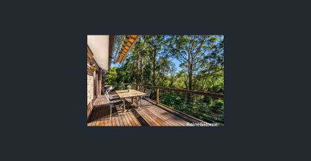 Amongst The Gum Trees - Photo 4