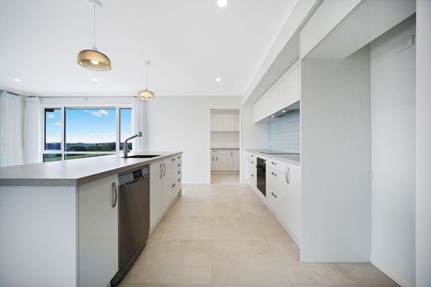 Brand New Lifestyle Home in Helensville - Photo 1