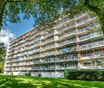 Zijldonk 0ong, 2317 DP Leiden, Nederland - Foto 1