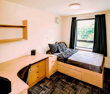 Standard Room - Photo 6