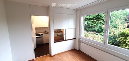 helle, ruhige 3.5 Zimmer Wohnung im Grünen, Seesicht - Photo 5