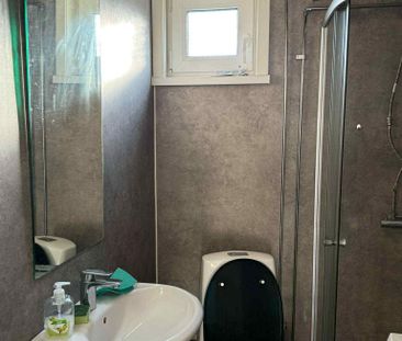 Skärlöta vibo, Norrköping - Foto 5