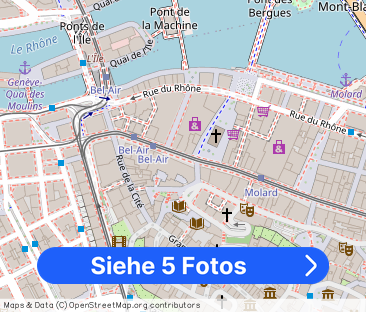 Short term rental in central Geneva - Foto 1