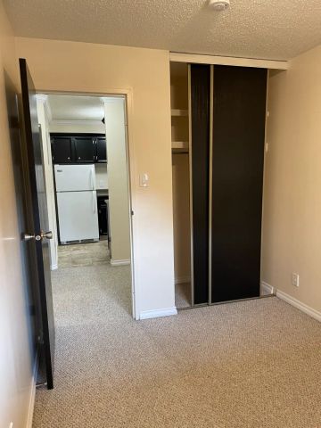 2 BDRM/1.5 BATH - River Trails/Lawson Mall - AVAILABLE FEB 7 - Photo 3