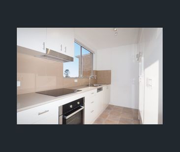 Fully Renovated Apartment. Two Carspaces! - Photo 5