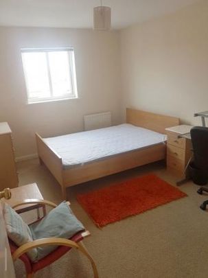 Mosquito Way - Photo 1