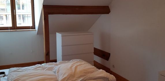 Appartement 1 chambre à La Bresse - Photo 2