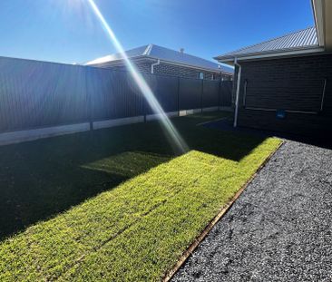 Stunning Brand New Family Home - Photo 3