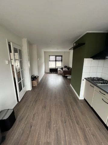 Adriaan van Ostadestraat - foto 2