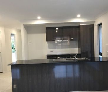 1/1 Swallowtail Street - Photo 6