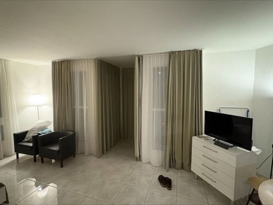 Furnished apartment in the center of Zurich - Photo 1