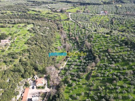 Μονοκατοικία για ενοικίαση Αριά (Λύρκεια) - Photo 2
