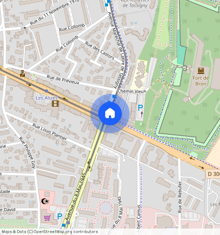 231 av Général de Gaulle, 69500, Bron