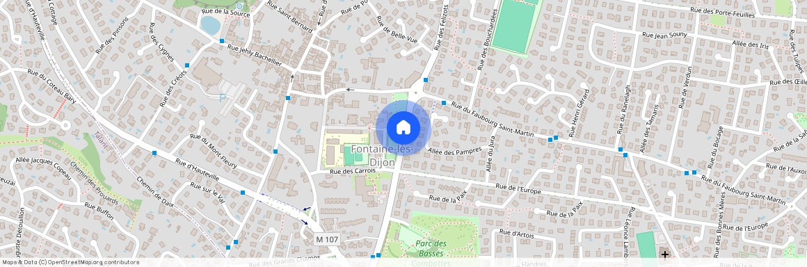 FONTAINE LES DIJON (21121)