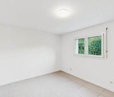 Moderno con giardino privato a 10 minuti da Bellinzona - Foto 1