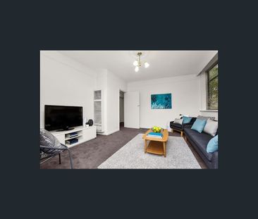 1/41 Scott Street, Elwood, Vic 3184 - Photo 1