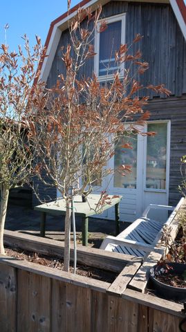 Te huur: Huis Zuiderzeeveld 6 in Muiderberg - Foto 3