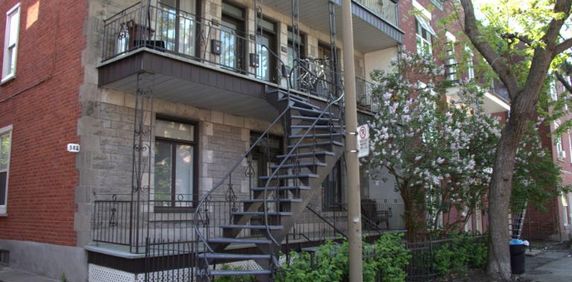 4 1/2 - Montréal (Hochelaga / Maisonneuve) - 1 400 $/mois - Photo 2