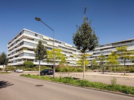 2 ½ Zimmer-Wohnung in Zürich mieten - Photo 4