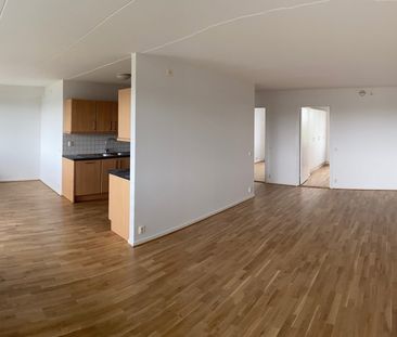 Thomsons Väg 50, Kryddgården - Foto 2