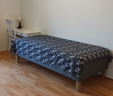 Kämpagränden, Lund - Foto 2